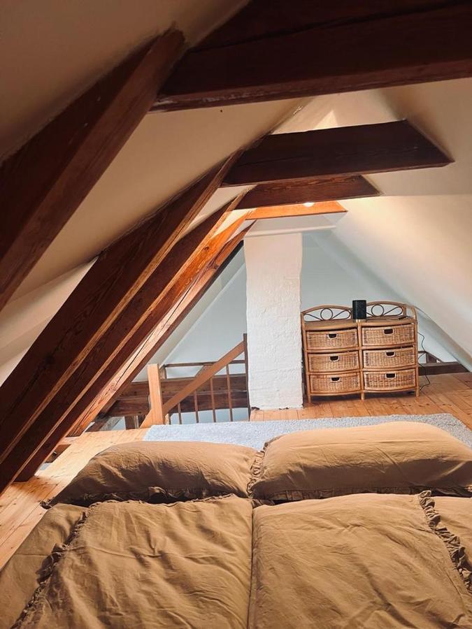 Gemuetliche Wohnung Nahe Des Sees Teterow Buitenkant foto